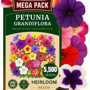 5500+ Petunia Seeds - Mixed Rainbow Color, Bonsai, Grandiflora Flowers