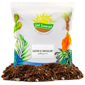Cactus and Succulent Potting Mix, Fast Draining and Desert-Style Gritty