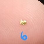Captivating 23.7k Pure Gold Flake From Crisson Gold Mine Dahlonega GA Rare