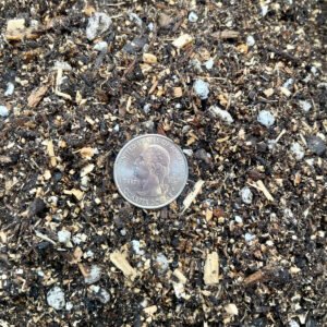 Blueberry Potting mix - Professional Potting Soil Mix