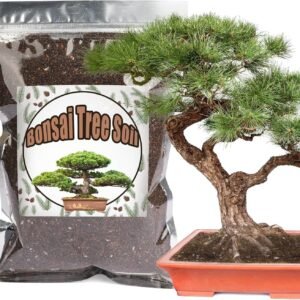 Bonsai Soil Mix 1Qt Ready to Use, Organic Bonsai Tree Soil Fits for Small Bonsai