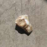 Gold Ore Quartz From California