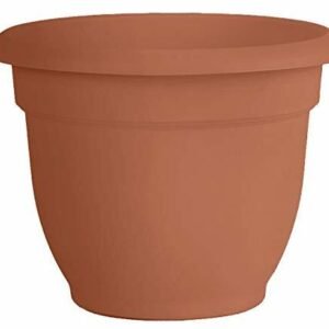 Bloem Ariana Planter with Self-Watering Grid, Terra Cotta - 20in