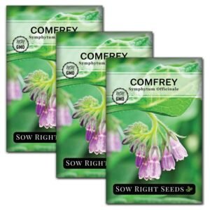 Sow Right Seeds Non-GMO Heirloom Comfrey Seeds for Planting 3 Pack