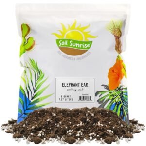 Elephant Ear Potting Soil Mix 8QT, Colocasia and Alocasia Potted Plant Blend