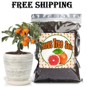 Citrus Tree Potting Soil Mix, Organic Loamy Potting Soil for Potted Lemon or Lim