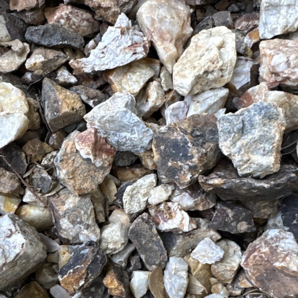 1785032407_s-l1600.jpg
