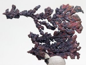 1785040393_s-l500.jpg