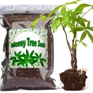 Doter Organic Money Tree Soil Mix 1Qt, Indoor Plants Potting Mix for All Potted
