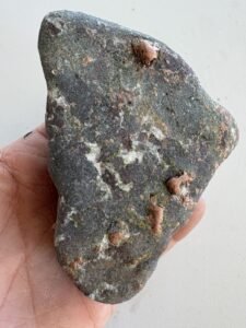 1785655884_s-l1600.jpg