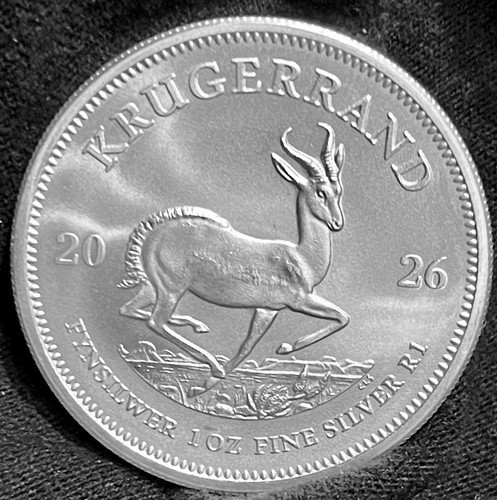 1785957325_s-l500.jpg