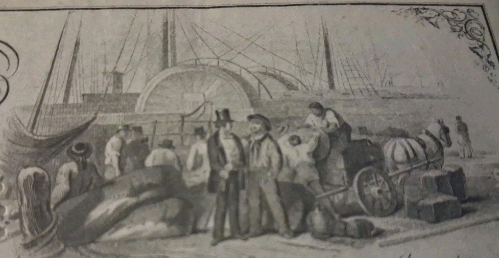 1785975266_s-l1200.jpg