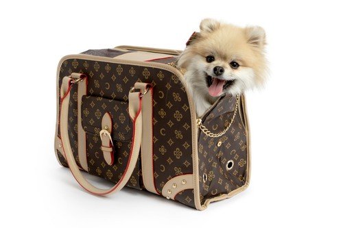Greyhound Gifts Makeup Bag Italian Gift for Greyhound Dog Mom Dog Lover Pet Owne