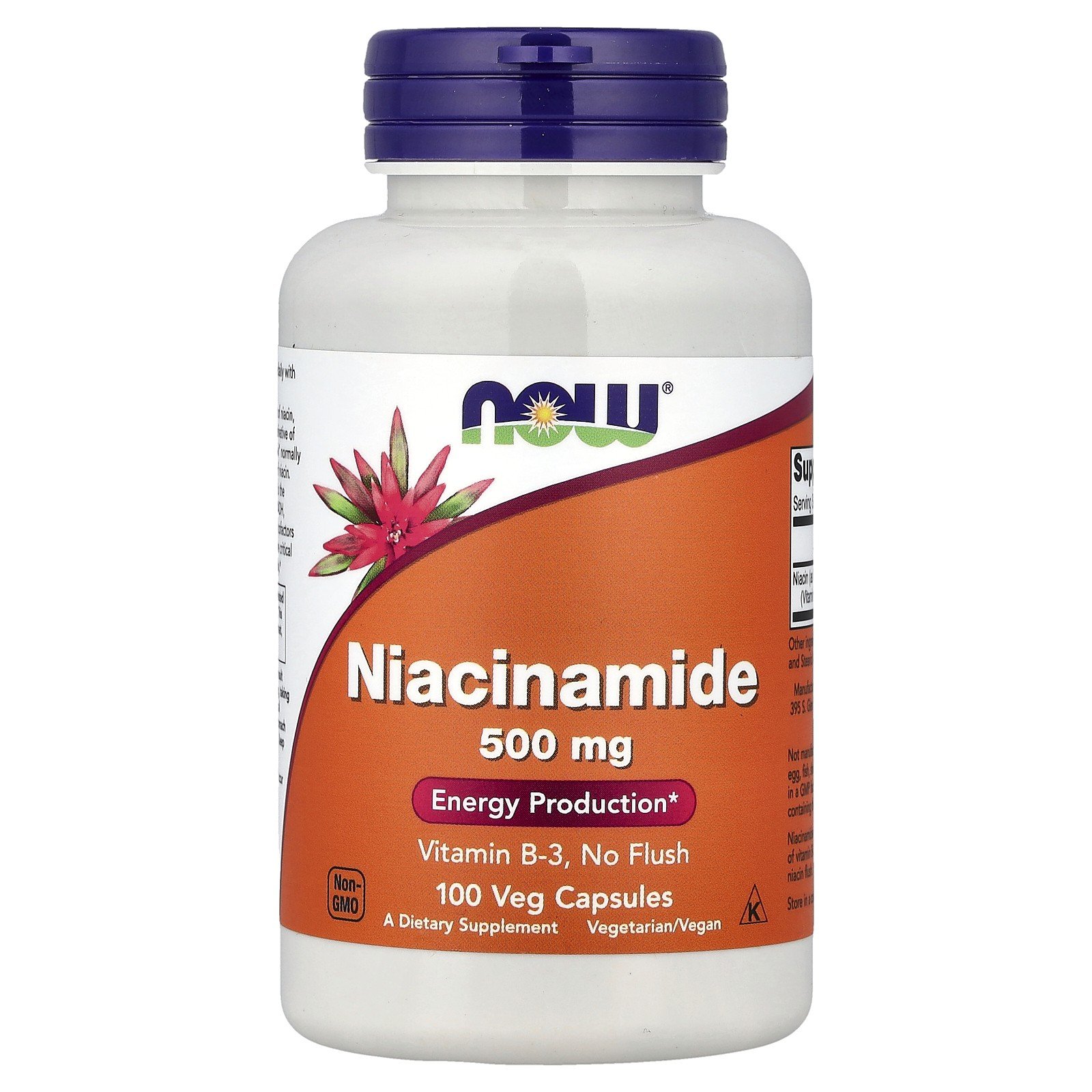 Niacinamide, 500 mg, 100 Veg Capsules