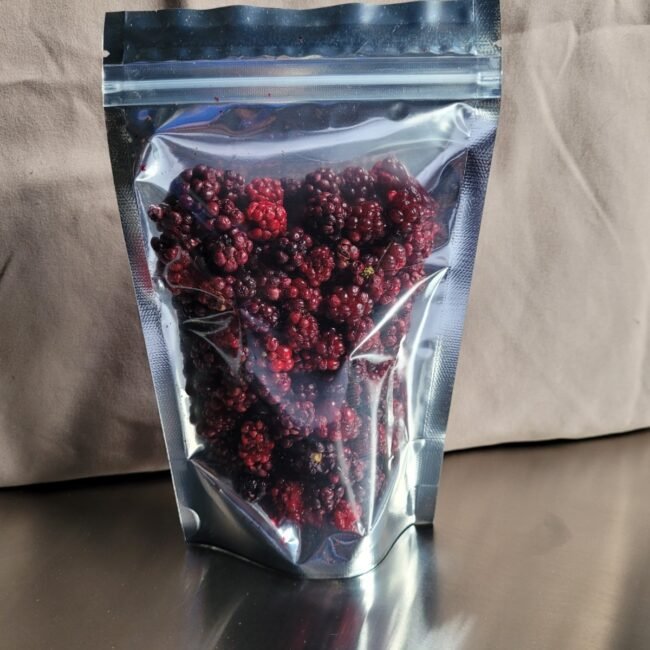 Freeze Dried Ripe Blackberries~Organic~From my Vines~Crispy Sweet Healthy Snacks